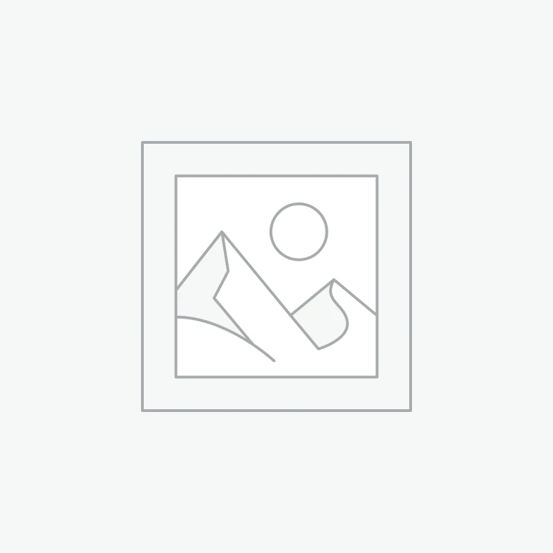 Pommeau de levier de vitesse